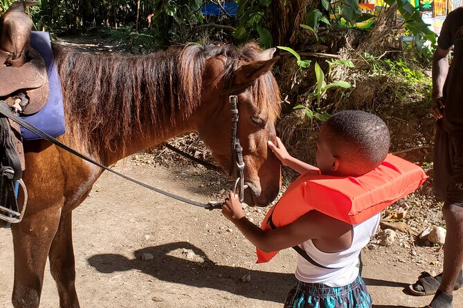 Dunn's River Falls Climb, Zipline and Horseback Riding Private Tour - Booking, cancellation, and weather details