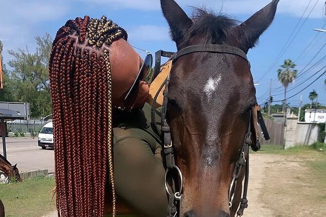 Dunn’s River Falls,Zip lining & horseback riding Combo tour from Montego Bay - Horseback riding from rainforest to Ocho Rios Bay Beach