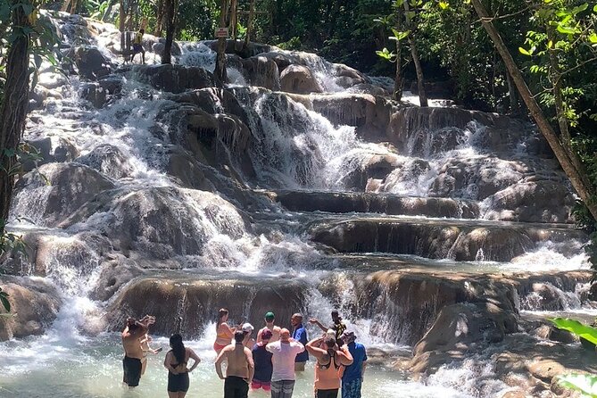 Dunn's River Falls, Zipline Adventure from Kingston - Key points to know before booking