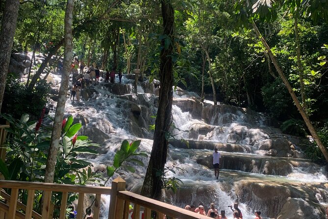 Dunn's River Falls, Zipline Adventure from Kingston - What the $249 price really covers