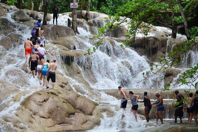 Dunns River Falls and Zipline Adventure from Ocho Ríos - Key points to know before booking