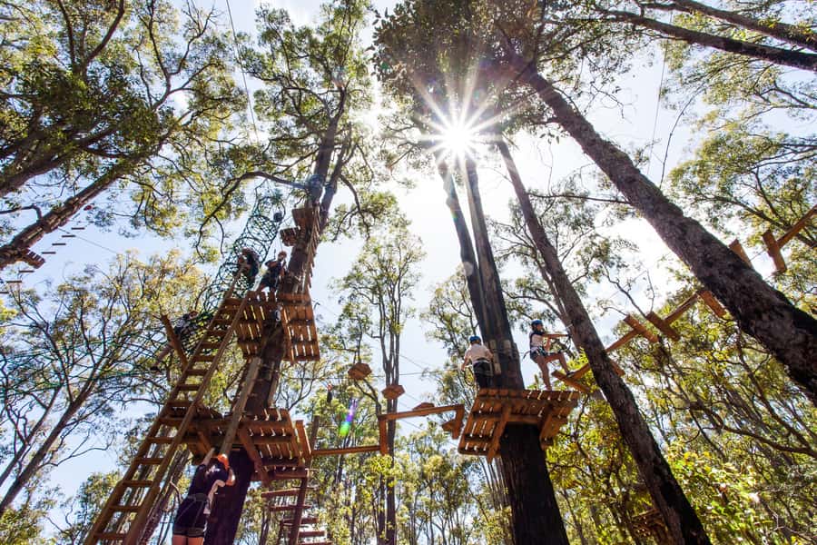 Dwellingup: Tree Ropes Course - Key points to know before you book