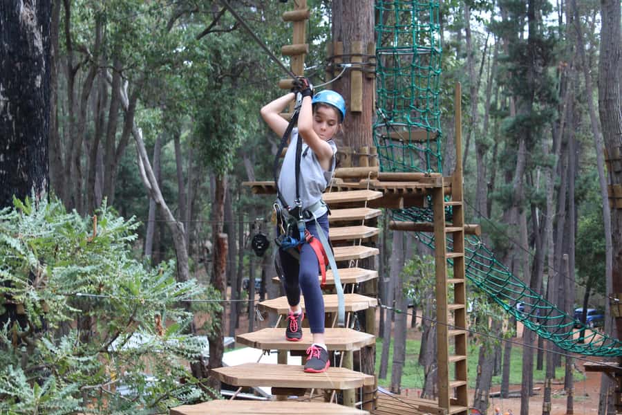 Dwellingup: Tree Ropes Course - A treetop challenge in Lane Poole Reserve