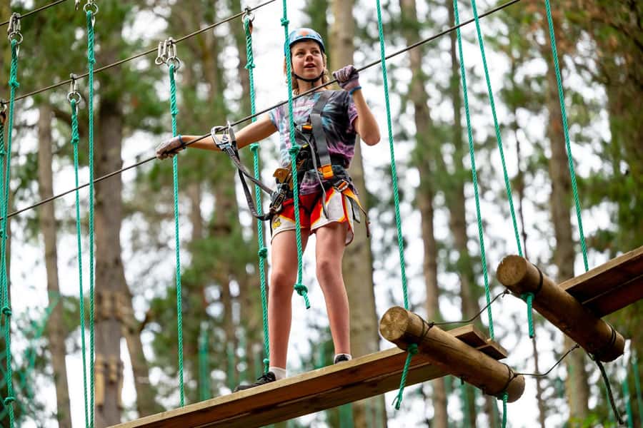 Dwellingup: Tree Ropes Course - The 23 ziplines are a major part of the value