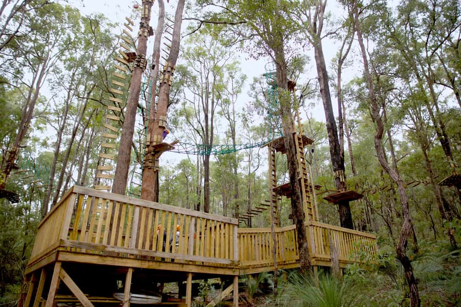 Dwellingup: Tree Ropes Course - Your first steps: briefing, harness, and safety