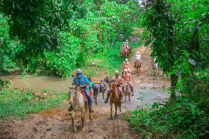 Eco Aventure Park+ Zipline+Horseback Ride+Buggy - Why the horseback ride gets the nod