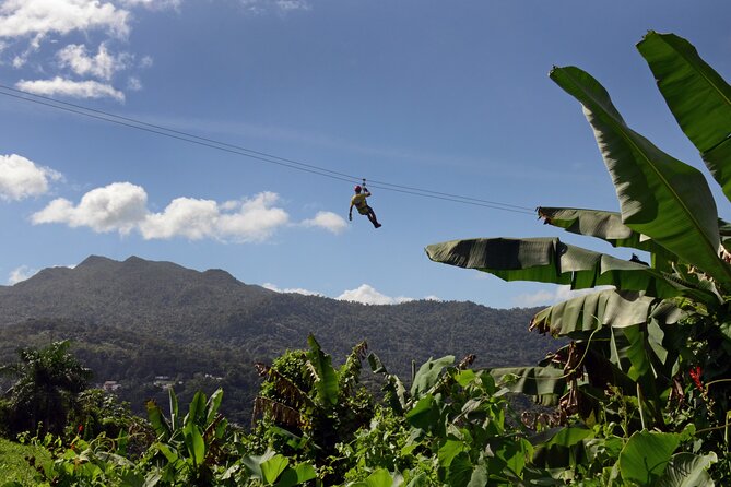 El Yunque Ziplining in Puerto Rico - Key points to know before booking