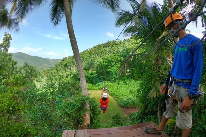 El Yunque Ziplining in Puerto Rico - A short hike with real local detail