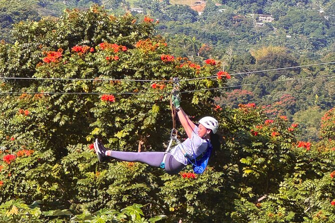 El Yunque Ziplining in Puerto Rico - Is $149 a fair price?