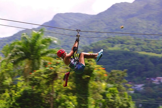 El Yunque Ziplining in Puerto Rico - Who will enjoy this most?