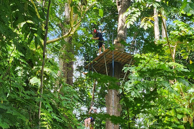 El Yunque Ziplining with River and Beach Visit - Luquillo Beach and the famous kiosk stop