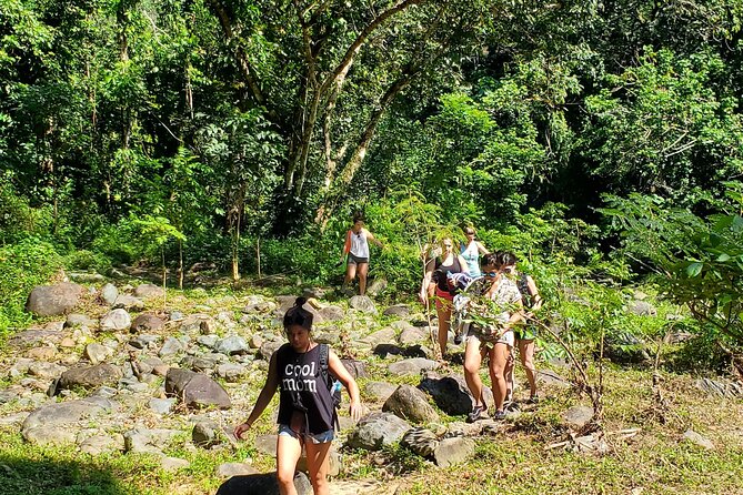 El Yunque Ziplining with River and Beach Visit - The short forest walk to Mameyes River
