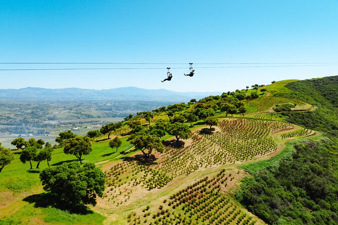 Epic Zipline Tour near Santa Barbara - Key Points Before You Book