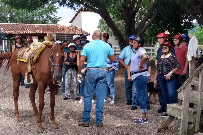 Experience Horse Riding, ATV & Zipline from Puerto Vallarta - Key points to know before booking