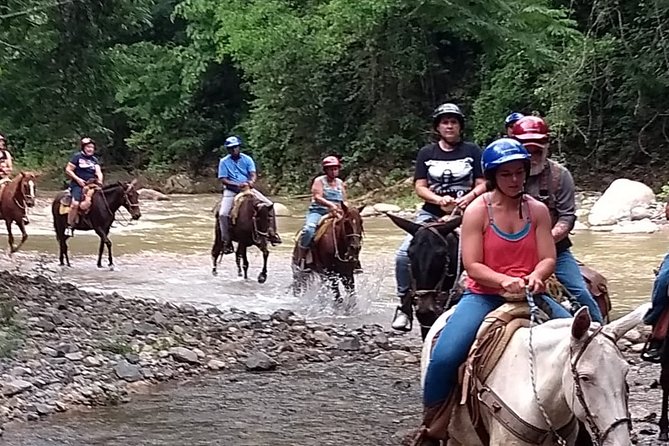 Experience Horse Riding, ATV & Zipline from Puerto Vallarta - Seven ziplines above the jungle