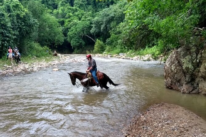 Experience Horse Riding, ATV & Zipline from Puerto Vallarta - Horseback riding through rivers and shaded trails