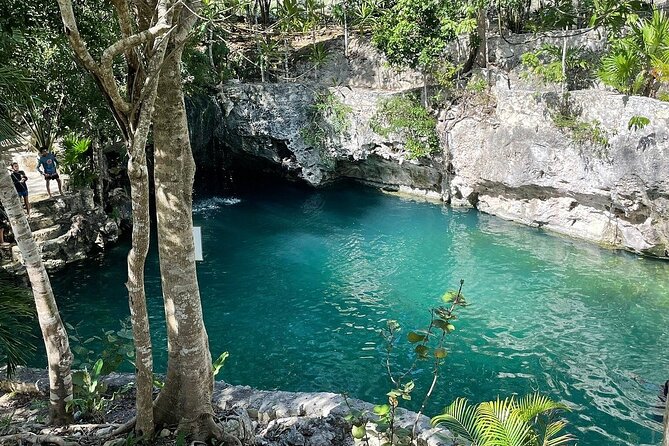 Experience in Atvs in the Mayan Jungle with Cenote and Zip Line - The zip line above the trees