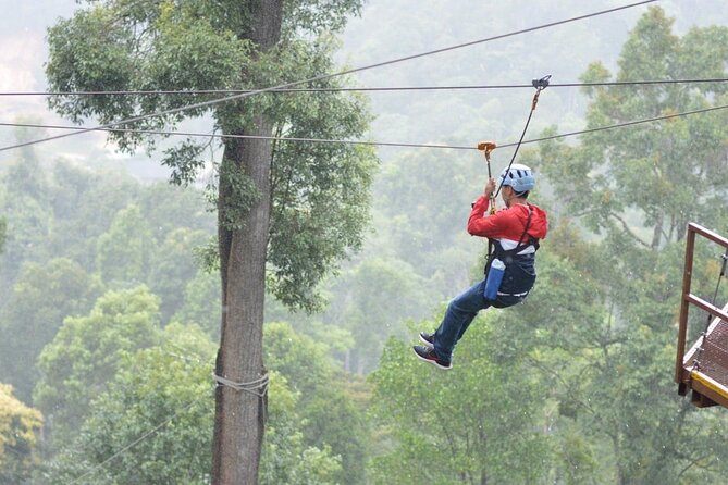Extream Zipline @ Kingkong Smile and Dip in Hot Spring - The morning pickup keeps the logistics simple