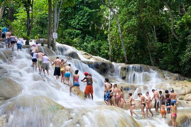 Falls Flyer Zipline and Dunn's River Falls Adventure Tour from Falmouth - The zipline course above the rushing water