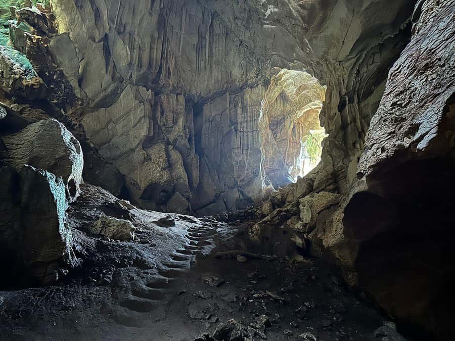 Fiji: Zipline Adventure and Cave Exploration - Three rainforest ecosystems on the way down