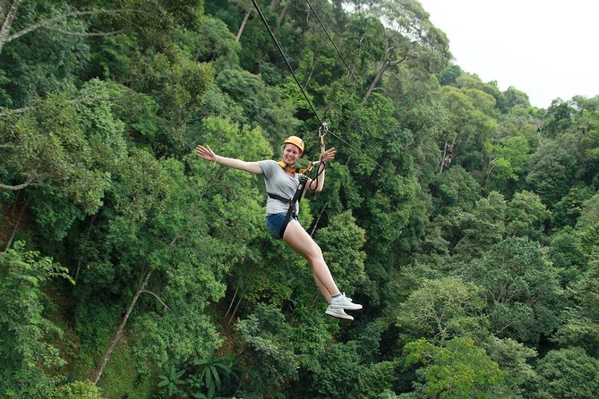 Flight of the Phoenix: Zipline Experience - Key points to know before you book