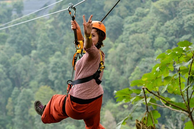 Flight of the Phoenix: Zipline Experience - Who will enjoy Phoenix Adventure Park most