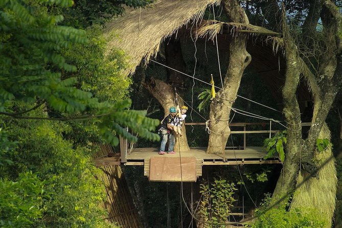 Flying Hanuman Zipline Adventure – Soar Through the Jungle! - What the forest course feels like