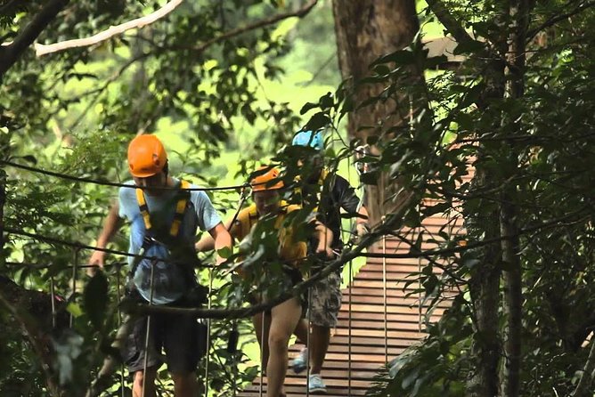 Flying Hanuman Ziplines 42 platform With Lunch - How the price works at $122.71