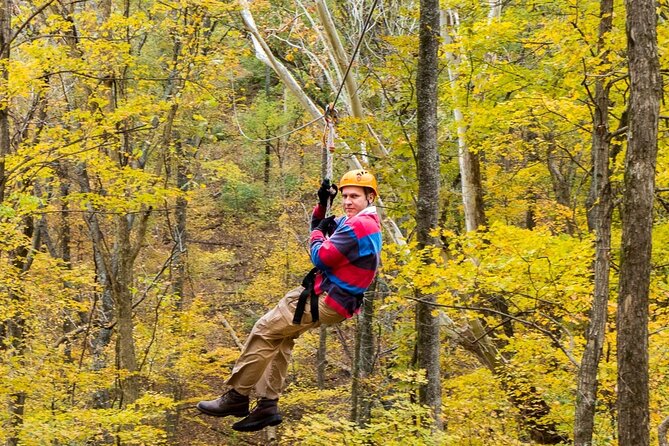 Fontanel Zipline Forest Adventure at Nashville North - Who will enjoy Fontanel most?