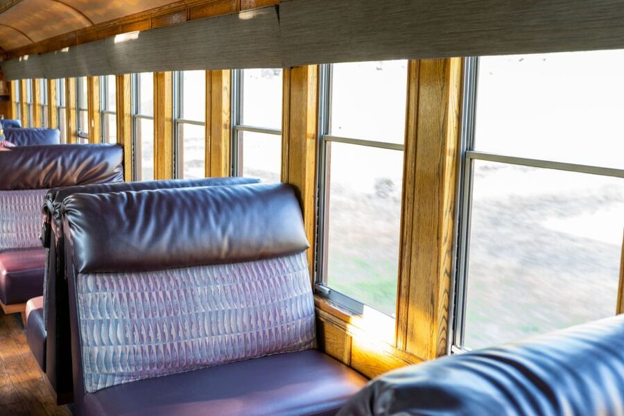From Durango: All-Day Zipline Adventure with Train & Lunch - Meeting the Sky Rangers in the forest