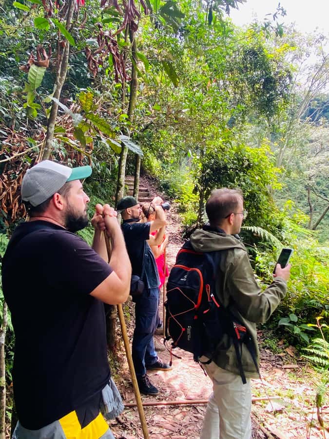 From Kigali: 2 days chimpanzee trekking and canopy walk - Crossing the 70-meter canopy walk