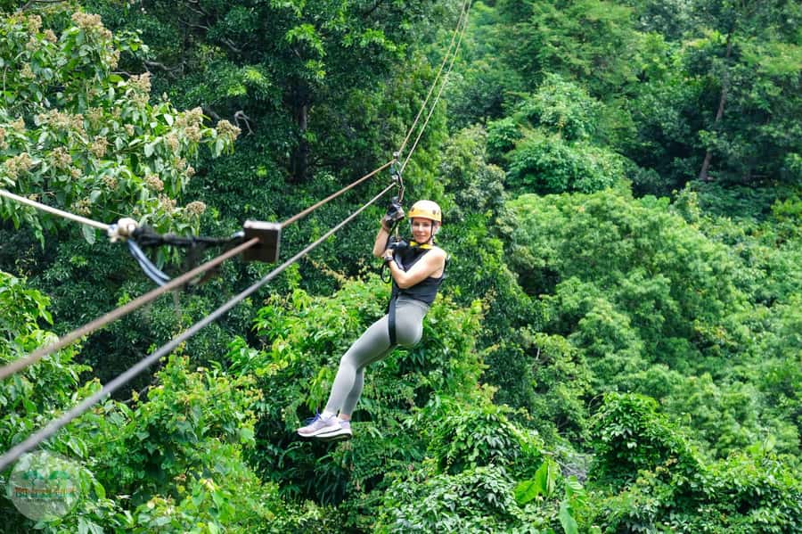 From Koh Samui: Tree Bridge Zipline and Café Experience - A jungle course above Koh Samui