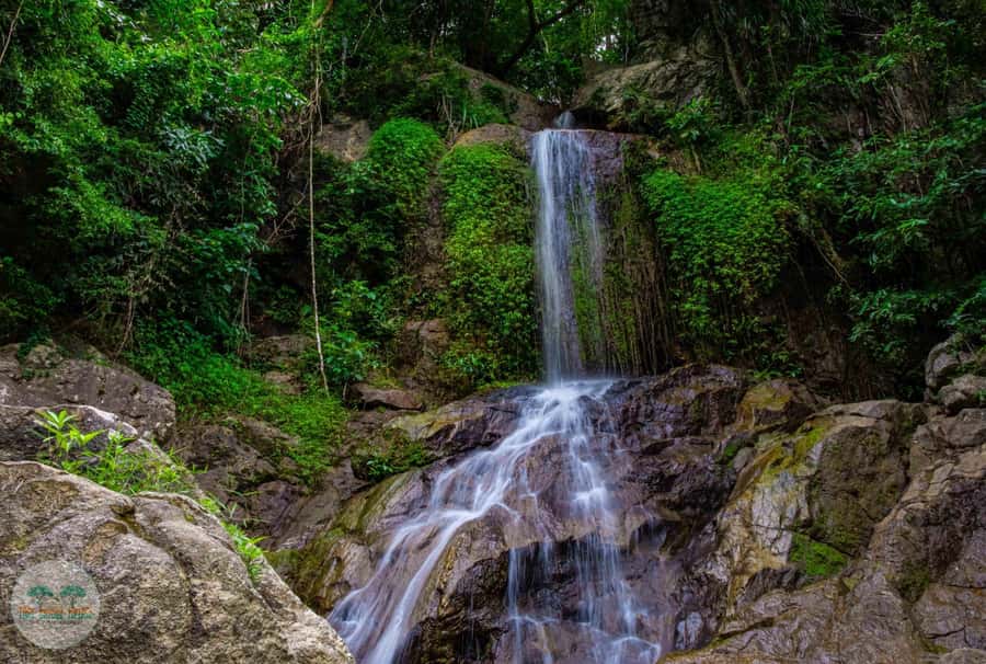 From Koh Samui: Tree Bridge Zipline and Café Experience - Check-in, refreshments, and the safety briefing