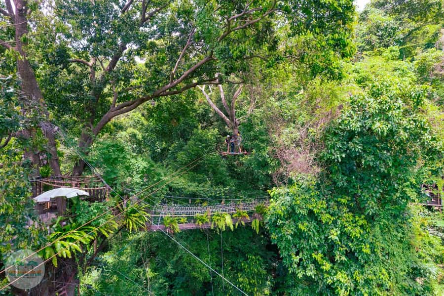 From Koh Samui: Tree Bridge Zipline and Café Experience - Is the $60 price fair?