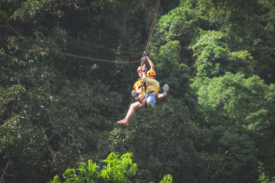 From Koh Samui: Tree Bridge Zipline and Café Experience - Who should book this experience?