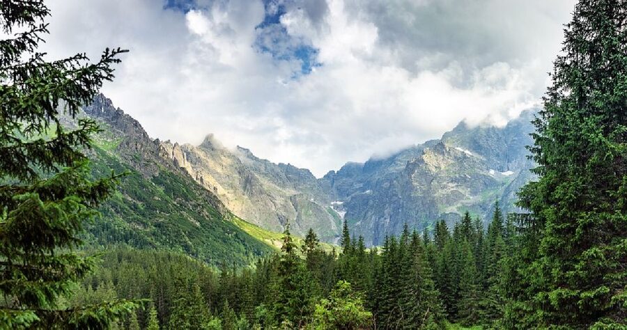 From Krakow: Morskie Oko and Slovakia Treetop Walk - Planning your time beside the lake