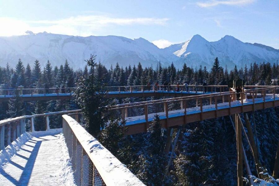 From Krakow: Morskie Oko and Slovakia Treetop Walk - A driver-led day, not a guided tour