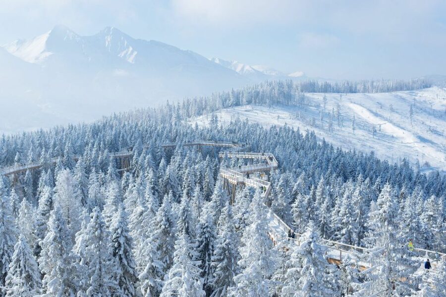 From Krakow: Morskie Oko and Slovakia Treetop Walk - What to bring and how to pace yourself