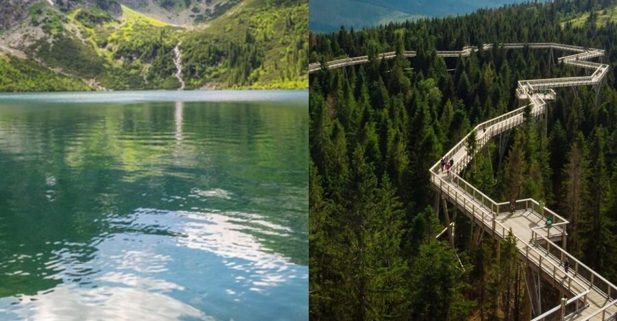 From Krakow: Morskie Oko and Slovakia Treetop Walk - Why the treetop walk is more than a photo stop