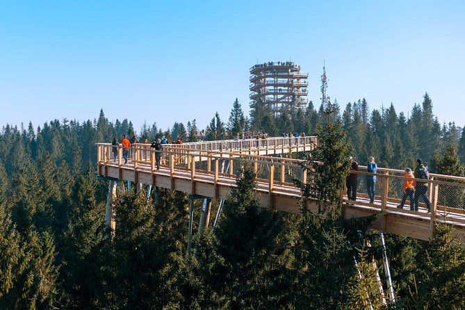 From Krakow: Morskie Oko in the Tatra Mountains and Slovakia Treetop Walk - Pickup, timing, and group size