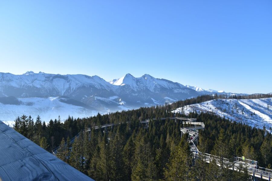 From Kraków: Mountain Treetop Walk & Zakopane Day Trip - Should you book the Sky Walk and Zakopane day trip?