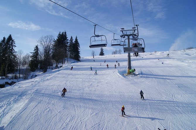 From Kraków: Slovakia Treetop Walk and Bachledka Ski - Bachledka’s treetop path above the forest