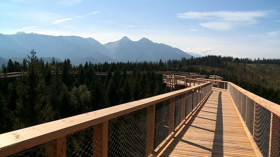 From Kraków: Slovakia Treetop Walk and Tour of Zakopane - Who will enjoy this day most