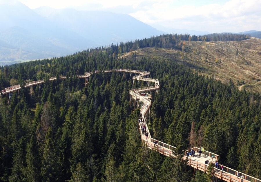 From Kraków: Slovakia Treetop Walk and Tour of Zakopane - Views from the 32-meter platform