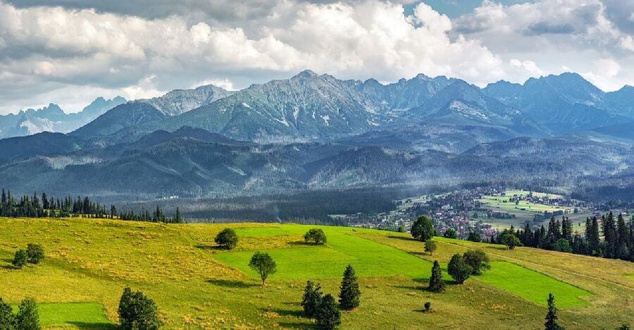 From Kraków: Slovakia Treetop Walk and Tour of Zakopane - Walking the 600-meter treetop route