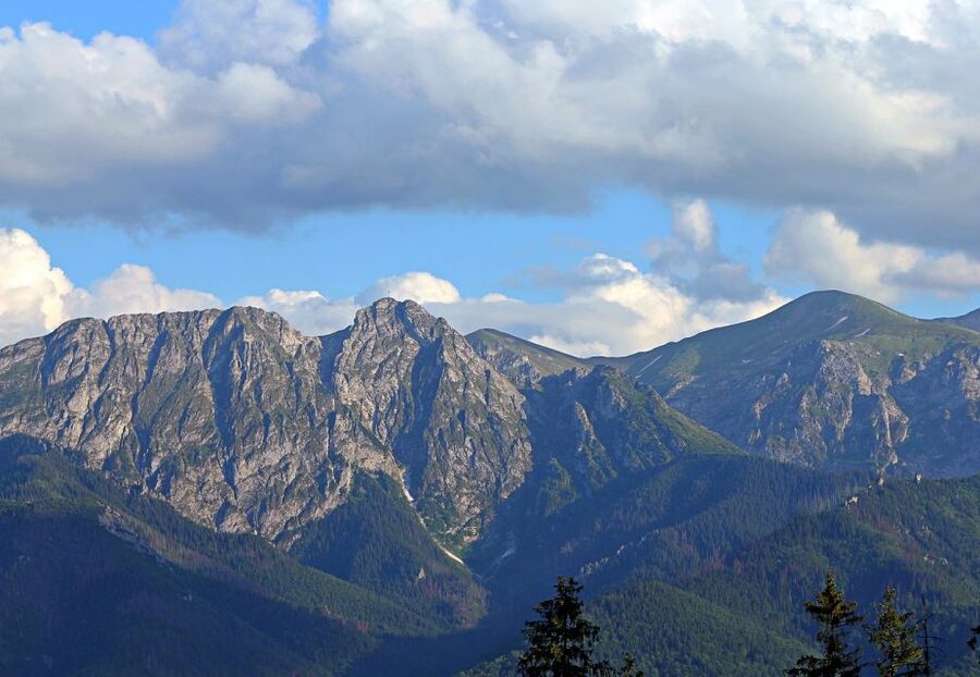 From Krakow: Slovakia Treetop Walk and Zakopane Tour - Who should book this day out