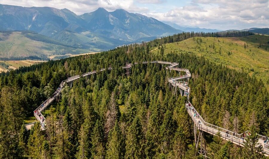 From Krakow: Slovakia Treetop Walk and Zakopane Tour - The Bachledka treetop walk