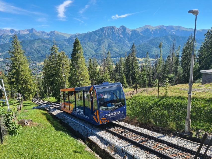 From Krakow: Slovakia Treetop Walk and Zakopane Tour - Timing, comfort, and the guide