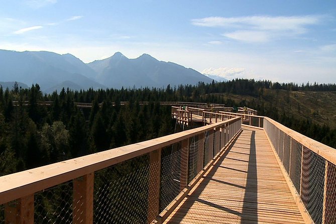 From Kraków: Slovakia Treetop Walk Bachledka and Zakopane - Bachledka is the reason to make the trip