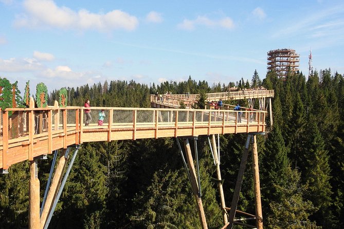 From Kraków: Slovakia Treetop Walk Bachledka and Zakopane - A practical look at the Slovakia stop